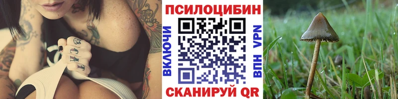 наркотики  Электросталь  Псилоцибиновые грибы Psilocybine cubensis 